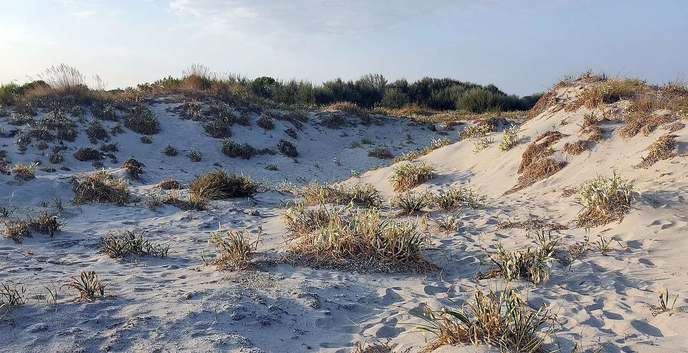 Lemnos sand dunes (Pachies Ammoudies), Greece