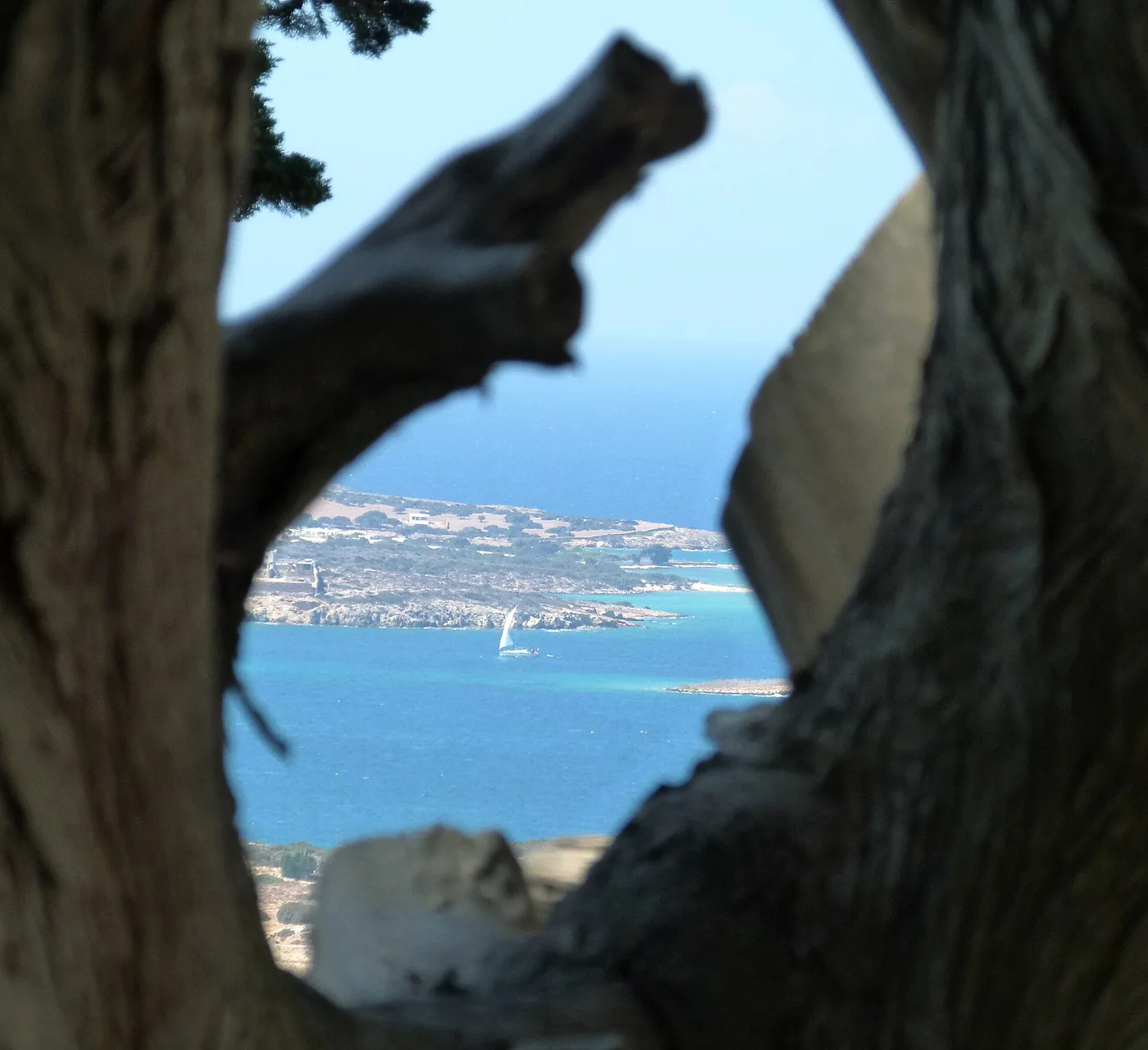 Valley of Butterflies (Paros), Greece