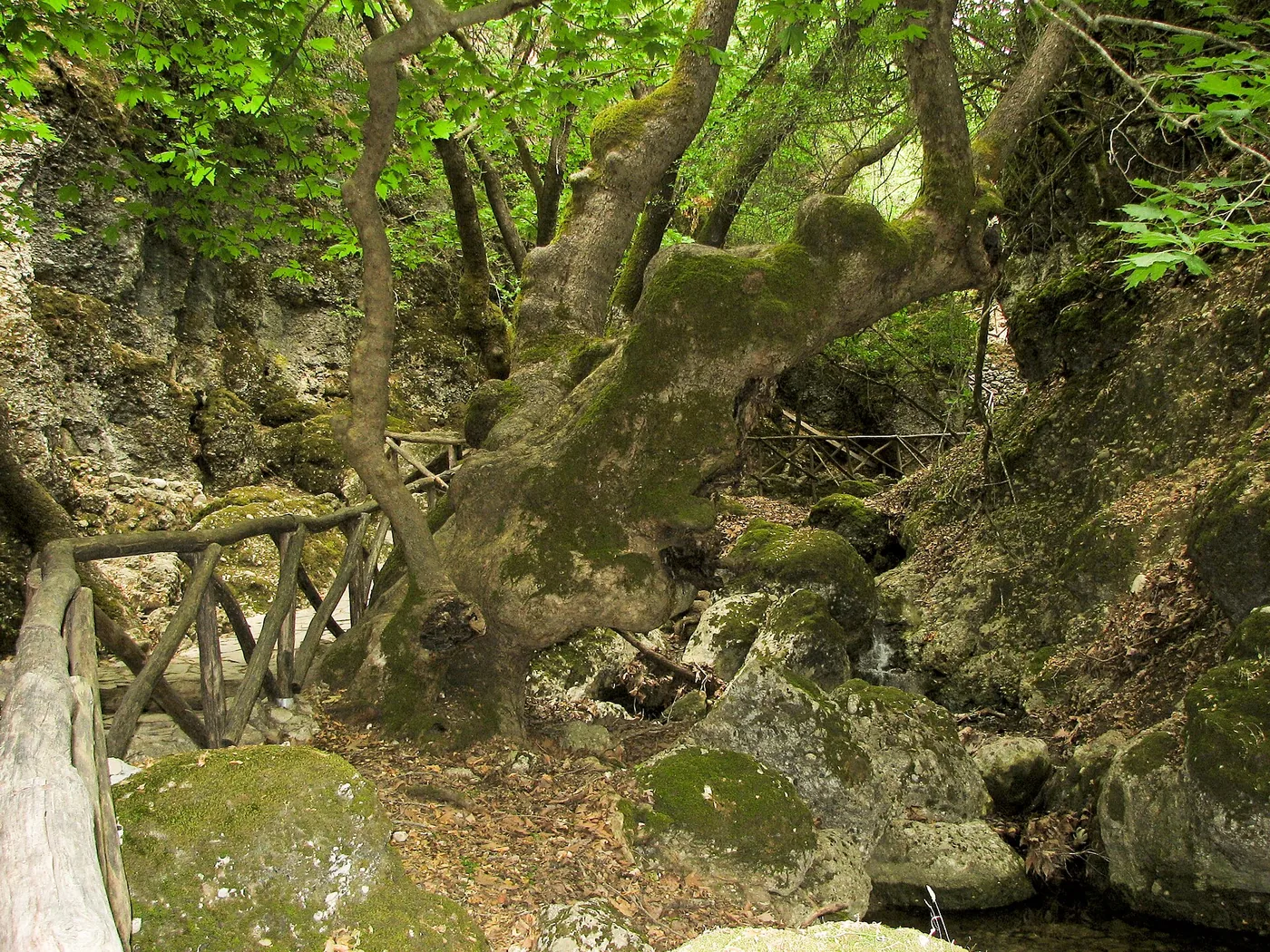 Butterfly Valley Museum (Petaloudes), Greece